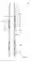 Fig. 08 - Annular barrier with expansion unit