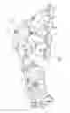Fig. 03 - Exhaust manifold