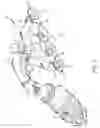Fig. 04 - Exhaust manifold