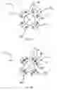 Fig. 04 - ACTIVE RADIAL MAGNETIC BEARING PHASED ARRAY