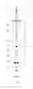 Fig. 02 - Quick stop mechanism on food processor and food processor comprising the same
