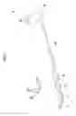 Fig. 02 - Vehicular exhaust pipe structure