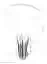 Fig. 02 - Lighting device for a motor vehicle headlamp