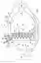 Fig. 03 - Fuel nozzle assembly with impingement purge