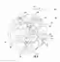Fig. 05 - Multi-point injection mini mixing fuel nozzle assembly