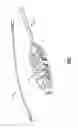 Fig. 04 - T-handle firearm cleaning tool