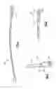 Fig. 05 - T-handle firearm cleaning tool