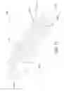 Fig. 35 - Handguards and upper receivers alone and in combination