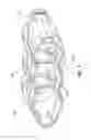 Fig. 10 - BROADHEAD CASE APPARATUS
