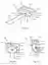 Fig. 08 - Fluid property measurement devices, methods, and systems