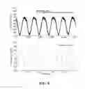 Fig. 09 - Systems and methods for liquid dynamic pressure testing