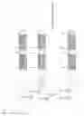 Fig. 08 - Leukocyte quantitation microfluidic method and device