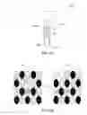 Fig. 08 - METHODS AND APPARATUS FOR DETECTION AND ANALYSIS OF NANOPARTICLES FROM SEMICONDUCTOR CHAMBER PARTS