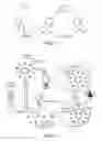 Fig. 02 - Selection by compartmentalized screening