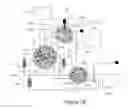 Fig. 13 - Multidimensional peak purity analysis