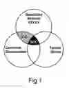 Fig. 02 - Beta-phase indicator