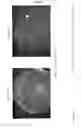 Fig. 08 - High throughput BH3 profiling: a rapid and scalable technology to BH3 profile on low numbers of cells