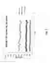 Fig. 06 - METHOD FOR RE-USING TEST PROBE AND REAGENTS IN AN IMMUNOASSAY