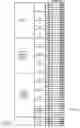 Fig. 06 - DIRECT DETECTION OF MICROORGANISMS IN PATIENT SAMPLES BY IMMUNOASSAY
