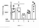 Fig. 04 - METHODS OF TREATING WITH TUMOR MEMBRANE VESICLE-BASED IMMUNOTHERAPY AND PREDICTING THERAPEUTIC RESPONSE THERETO