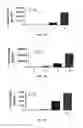 Fig. 08 - METHODS OF TREATING WITH TUMOR MEMBRANE VESICLE-BASED IMMUNOTHERAPY AND PREDICTING THERAPEUTIC RESPONSE THERETO