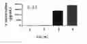 Fig. 09 - METHODS OF TREATING WITH TUMOR MEMBRANE VESICLE-BASED IMMUNOTHERAPY AND PREDICTING THERAPEUTIC RESPONSE THERETO