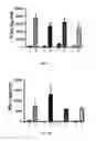 Fig. 10 - METHODS OF TREATING WITH TUMOR MEMBRANE VESICLE-BASED IMMUNOTHERAPY AND PREDICTING THERAPEUTIC RESPONSE THERETO