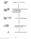 Fig. 04 - Tuberculosis biomarkers and uses thereof