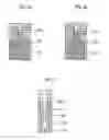 Fig. 04 - Blood test kit and blood analysis method