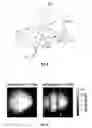 Fig. 07 - Metrological scanning probe microscope