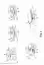 Fig. 09 - LIGHT REFLECTING DEVICES INCORPORATING COMPOSITE REFLECTING STRUCTURES
