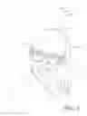 Fig. 02 - BROW EYE FRAME