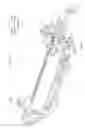 Fig. 06 - Image forming apparatus provided with fixing member engaged to roller and frame