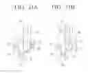 Fig. 26 - Customer replacement unit memory contact unit pressured according to movement of tray in an image forming apparatus