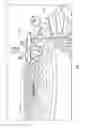 Fig. 02 - REMOTE CONTROLLED SAFETY BABY WALKER