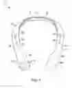 Fig. 02 - WEARABLE DEVICE PROGRAMMED TO RECORD MESSAGES AND MOMENTS IN TIME
