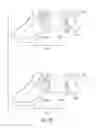 Fig. 13 - Customized design for an article of footwear