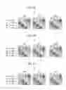 Fig. 08 - Cyclically interleaved XOR array for error recovery