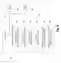 Fig. 04 - Semantic consolidation of data