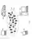 Fig. 08 - Identifying incorrect variable values in software testing and development environments