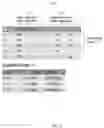 Fig. 09 - Query processing management in a database management system