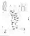 Fig. 02 - Topic bridging determination using topical graphs