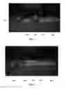 Fig. 03 - DETECTION METHOD AND APPARATUS OF A STATUS OF A PARKING LOT AND ELECTRONIC EQUIPMENT