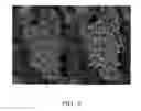 Fig. 05 - Methods and system for detecting curved fruit with flash and camera and automated image analysis with invariance to scale and partial occlusions