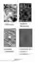 Fig. 07 - Methods and system for detecting curved fruit with flash and camera and automated image analysis with invariance to scale and partial occlusions