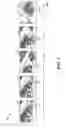 Fig. 04 - ENHANCED SIAMESE TRACKERS