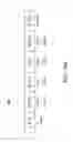 Fig. 45 - Database query and data mining in intelligent distributed communication networks