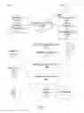 Fig. 02 - CONSUMABLE PERSONALIZATION