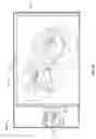 Fig. 09 - Multifunctional environment for image cropping