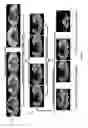 Fig. 05 - Self-aware image segmentation methods and systems